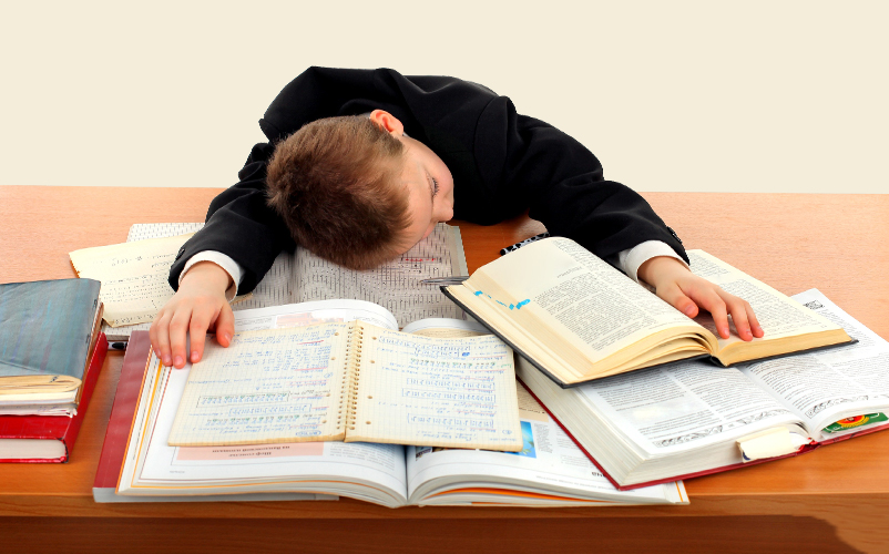 中午为什么会越睡越困