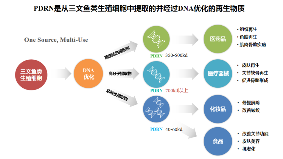 普丽兰 HP滋养精华液（保湿再生）