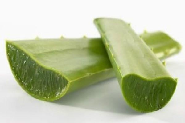 烫伤可以涂芦荟胶吗 | 用药指南
