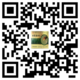 解毒通淋丸-1522811381232.png