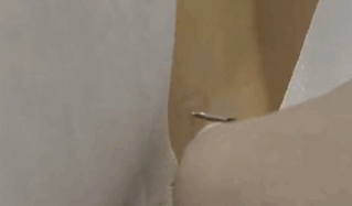 0-1553241961549.gif