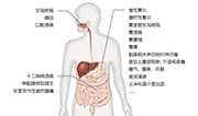 【注意！！！】这些行为会把致癌菌传给孩子