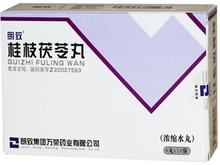 桂枝茯苓丸 桂枝茯苓丸