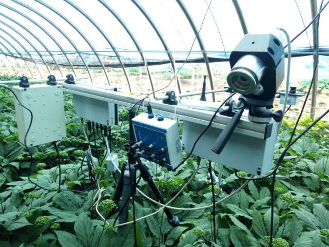 紫鑫药业首开全国先河，研究“精准人参” |  厂商资讯