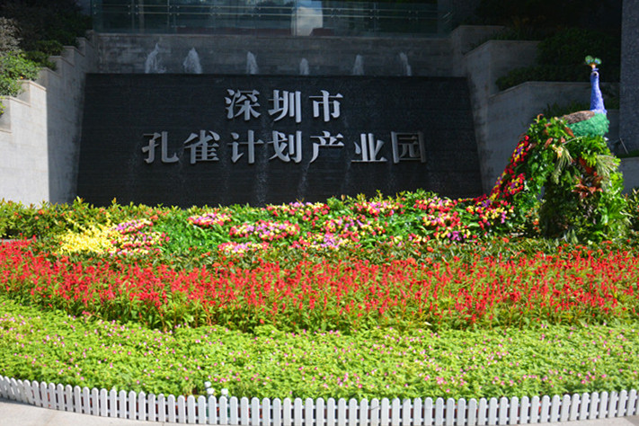 孔雀东南飞——脱颖而出的理邦POCT团队 | 厂商资讯