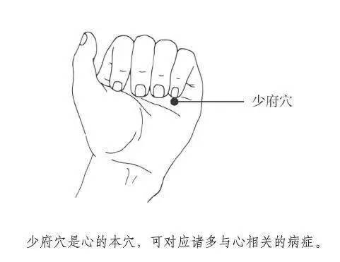 夏至关键是养心，有心脑血管病的尤其要注意！