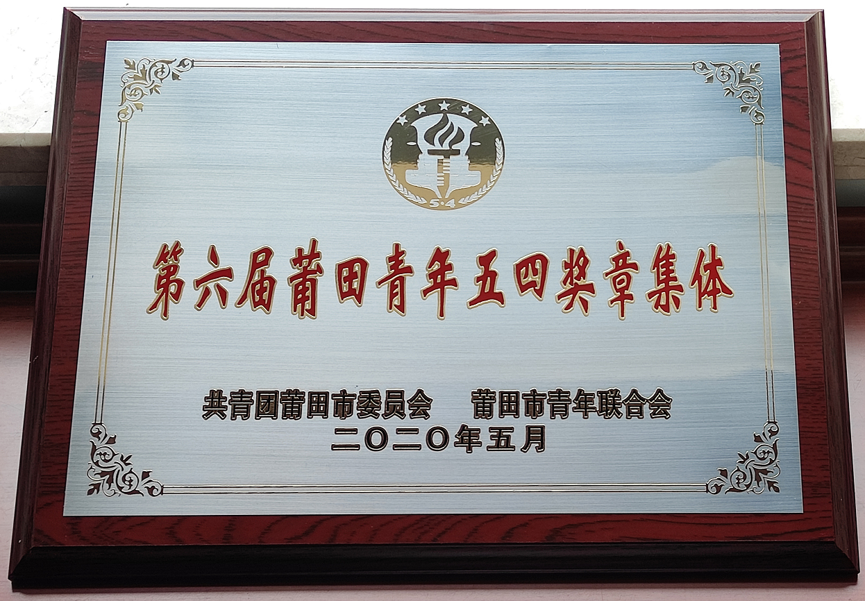 药械网贸易部荣获“第六届莆田青年五四奖章集体”
