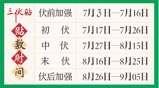三伏贴，你想知道的都在这里！