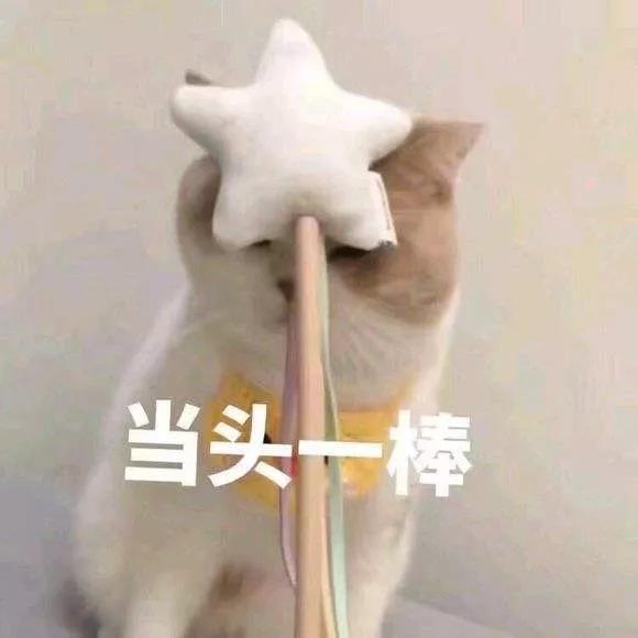 “我宁愿死，也不要得**！”这个肆虐中国的“头号杀手”，预防上升到“国家计划”