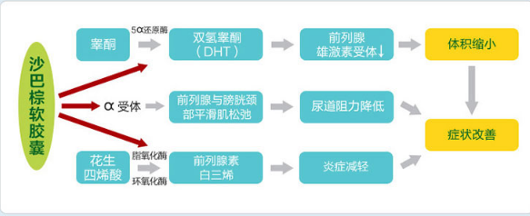 沙巴棕果提取物软胶囊 全网最低价重磅出击