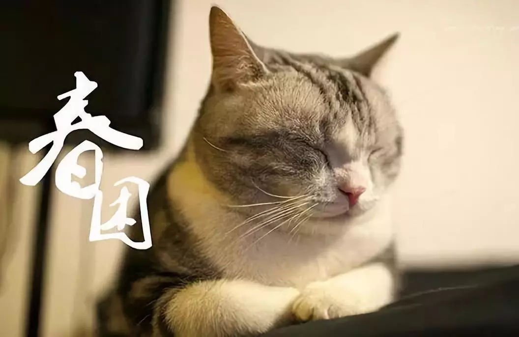 春困不是病，困起来真要命！教你如何远离春困