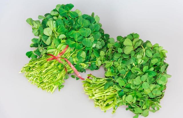 春天吃这5种野菜，过过嘴瘾关键是吃出健康