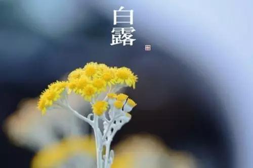 白露！最容易生病的日子来了！做好第一件事情，秋冬才健康！ | 健康资讯