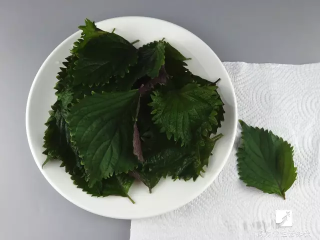 【实用】为什么饭店的酱油都比家里好吃？原来秘密在这 | 健康资讯