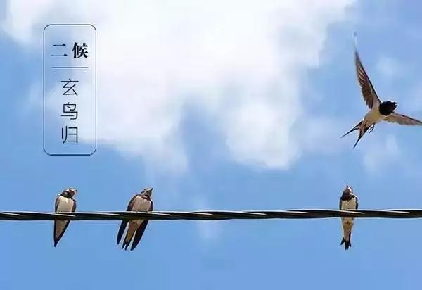 白露！最容易生病的日子来了！做好第一件事情，秋冬才健康！ | 健康资讯