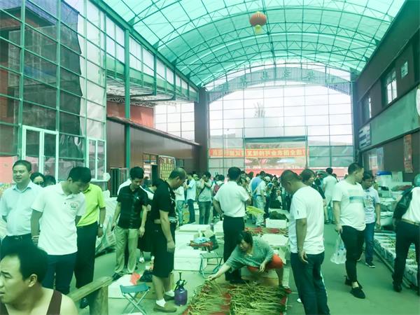 全国百家医疗集团采购主管参观知名药企