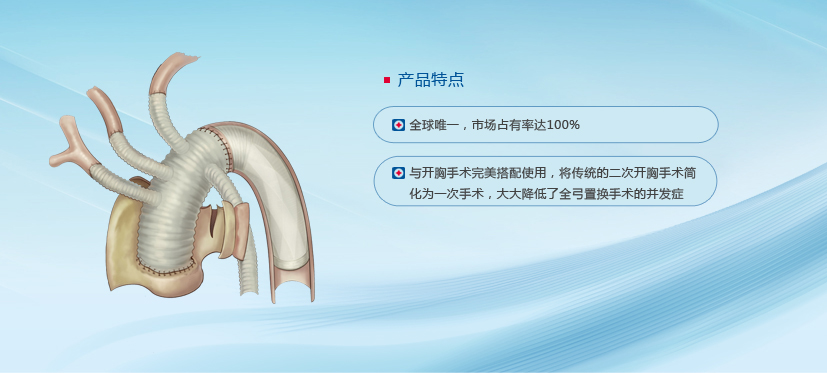 微创®心脉亮相东三省首届大血管疾病介入治疗高峰论坛 | 厂商资讯