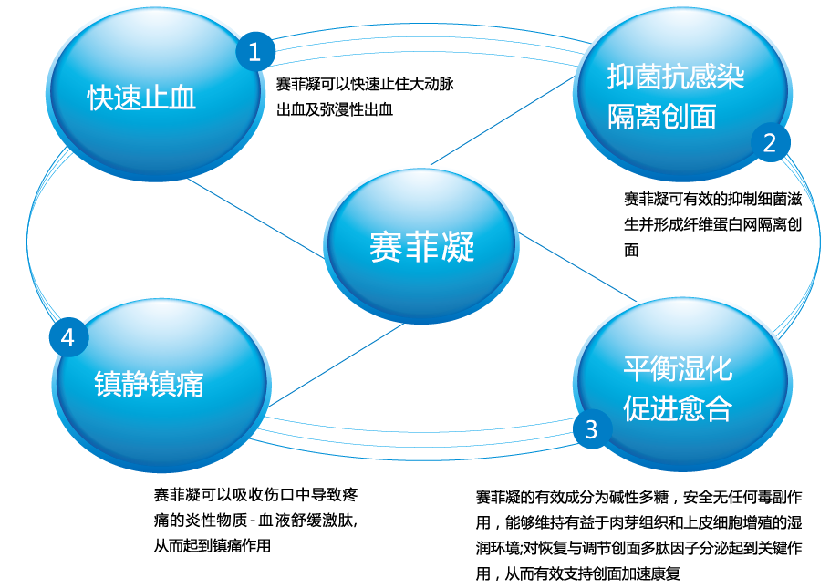 壳聚糖颗粒型止血材料    