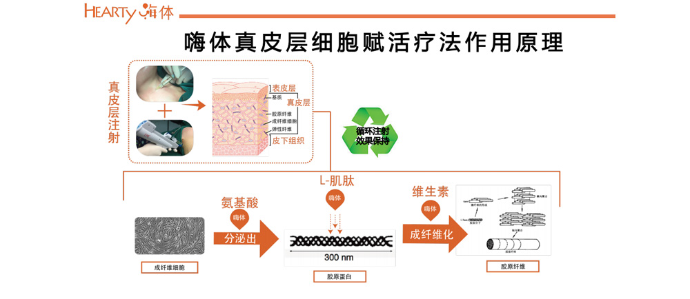 注射用透明质酸钠复合溶液（嗨体）