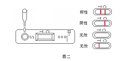 胶体金法如何快速检测梅毒抗体，看了你就明白了...