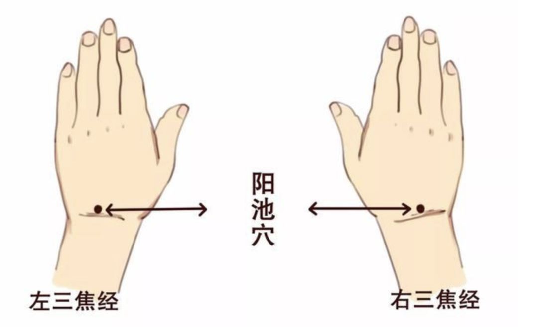 阳池穴—常按能暖身