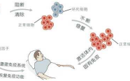 可引起白细胞减少的药物有哪些？ ｜ 药品安全