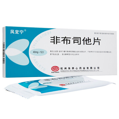 非布司他片 40mg*12片