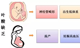 湖北生活：省中医院联合明志检验推出叶酸公益检测活动 | 店铺公司动态