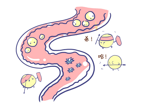 肠道是你的第二大脑 肠寿才能更长寿 | 医学科普