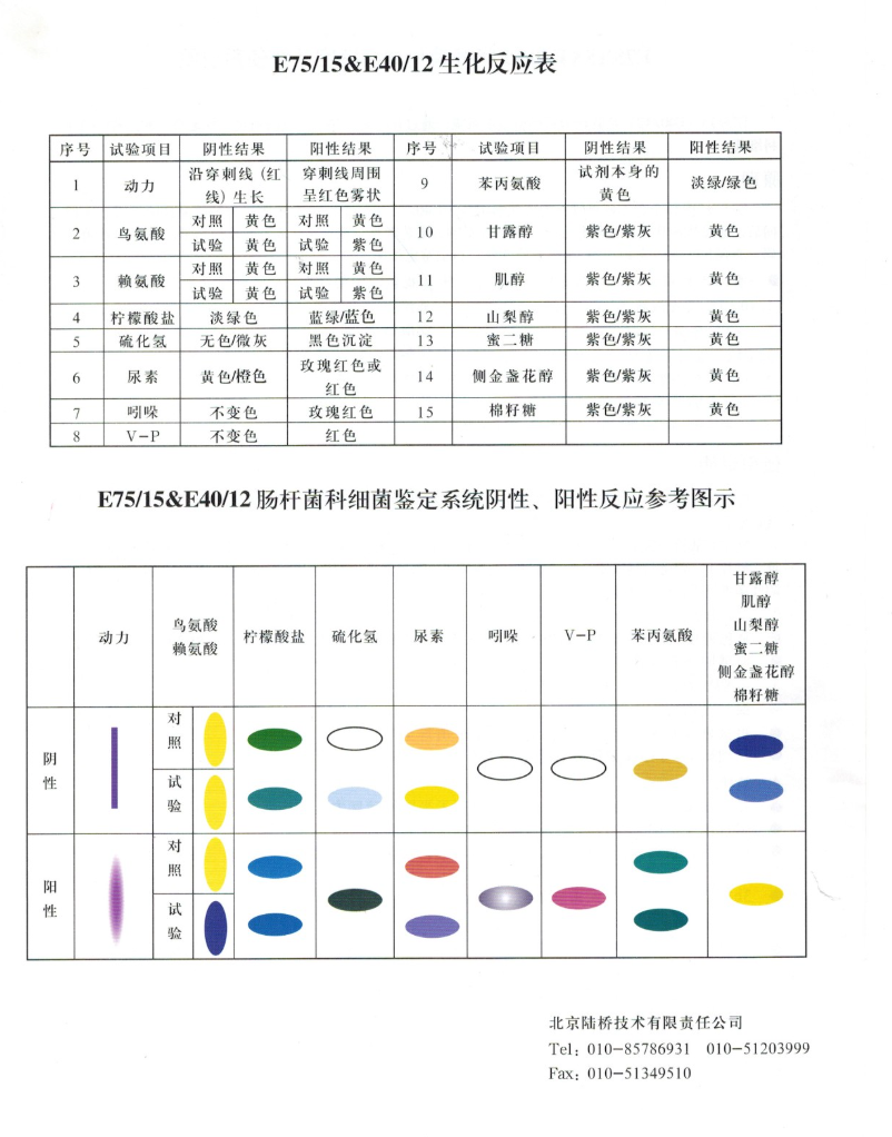 image-1766647270012.png