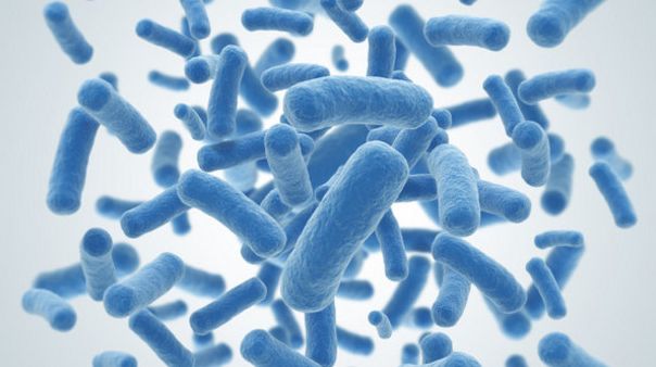 吃季节性的食物,肠道微生物也会季节性变化 | 医学科普 吃季节性的食物,肠道微生物也会季节性变化 | 医学科普