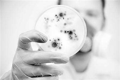 细菌群能驱动3D打印 | 医学科普