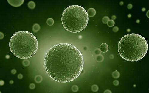 “饿肚子”饿不死肿瘤 | 医学科普