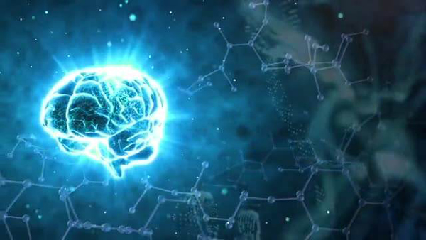 大脑新细胞的发现为神经性疾病治疗提供新方法 | 医学科普