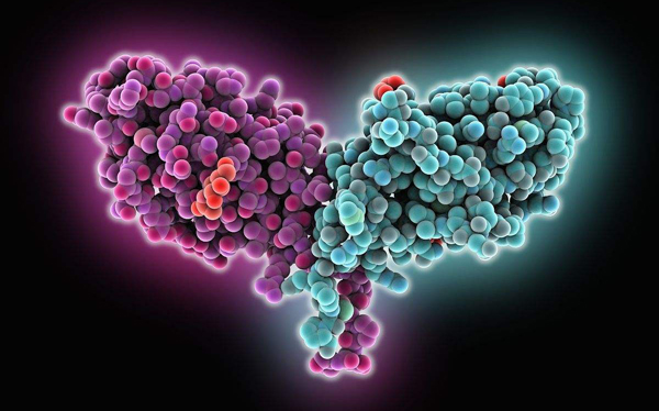 科学家通过蠕虫感染发现淋巴管生长的秘密！ | 医学科普